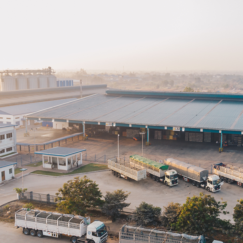 warehouse-roofing-solutions-exceptional-services-rooftop